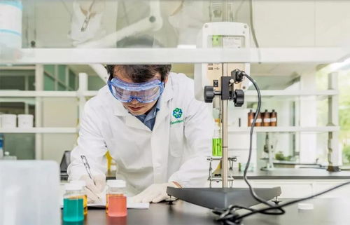 綠葉上?？蒲兄行某闪芍苣?技術研發譜寫高質量發展新篇章